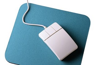 专业代码在哪里查询 浙江树人学院学费